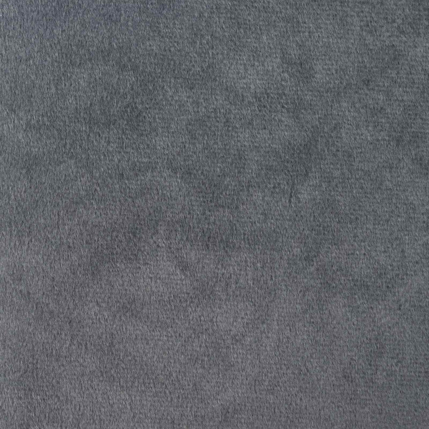 Tende oscuranti 2 pcs Grigio chiaro 140 x 140 cm Velluto