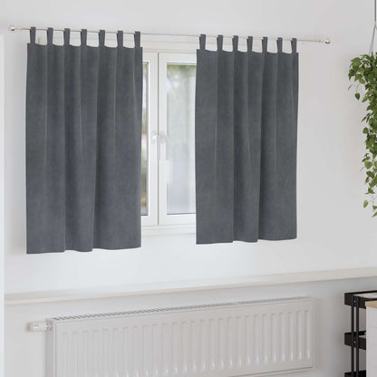 Tende oscuranti 2 pz Grigio chiaro 140 x 140 cm Velluto | homemem39