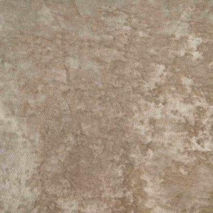Tende in Velluto con tende 2 pcs Champagne 225 x 140 cm Velluto | homemem39