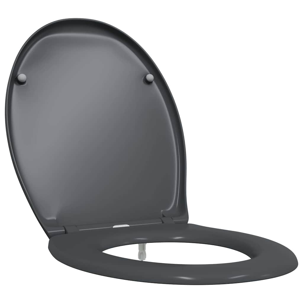 Sedile del WC con rilascio rapido Antracite