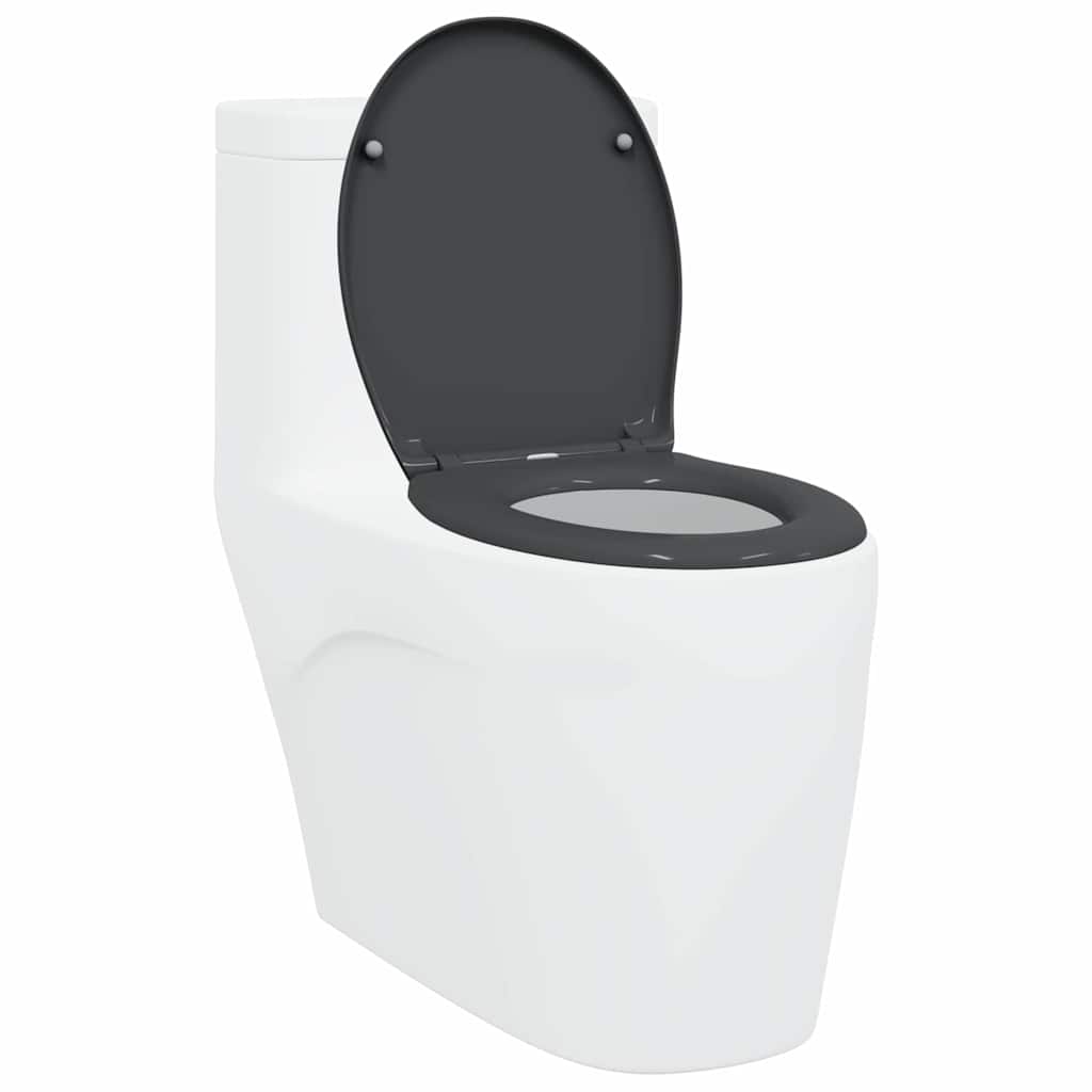 Sedile del WC con rilascio rapido Antracite