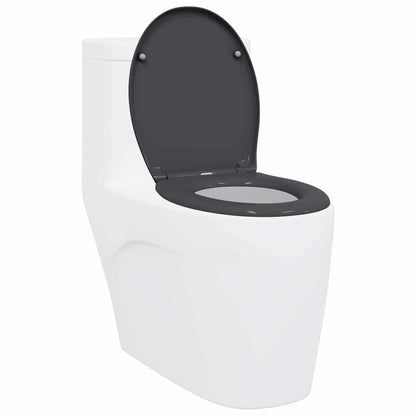 Sedile del WC con rilascio rapido Antracite