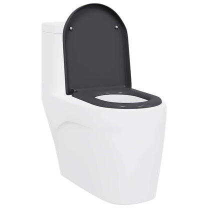 Sedile del WC con rilascio rapido Antracite 46.2 x 36 x 4.3 cm
