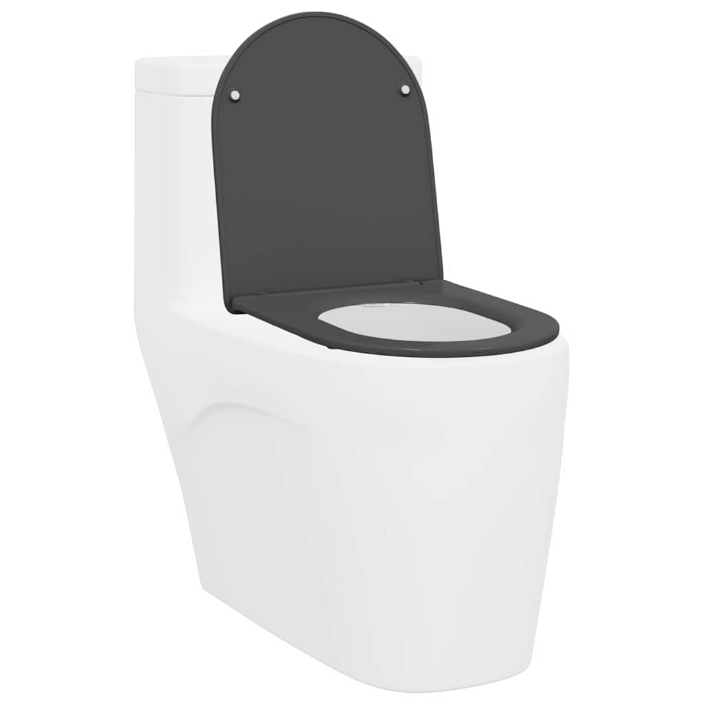 Sedile del WC con rilascio rapido Antracite 44 x 36.4 x 3.4 cm
