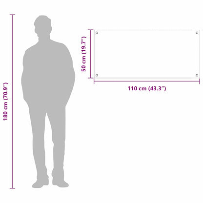 Rivestimento da Cucina Trasparente 110 x 50 x 0.6 cm