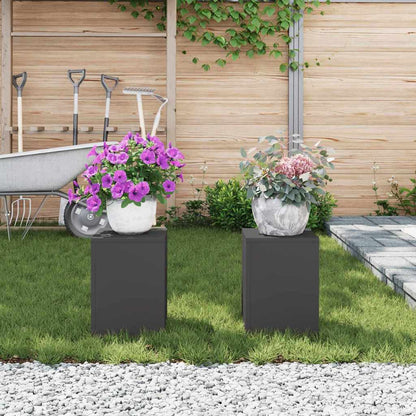 Supporti per piante 2 pcs Nero 24 x 24 x 35 cm Acciaio