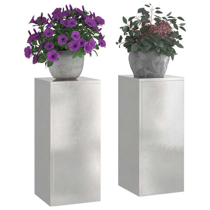 Supporti per piante 2 pcs Argento 24 x 24 x 55 cm