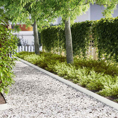 Bordura per Prato 20 pcs Bianco 100 x 0.05 x 20 cm