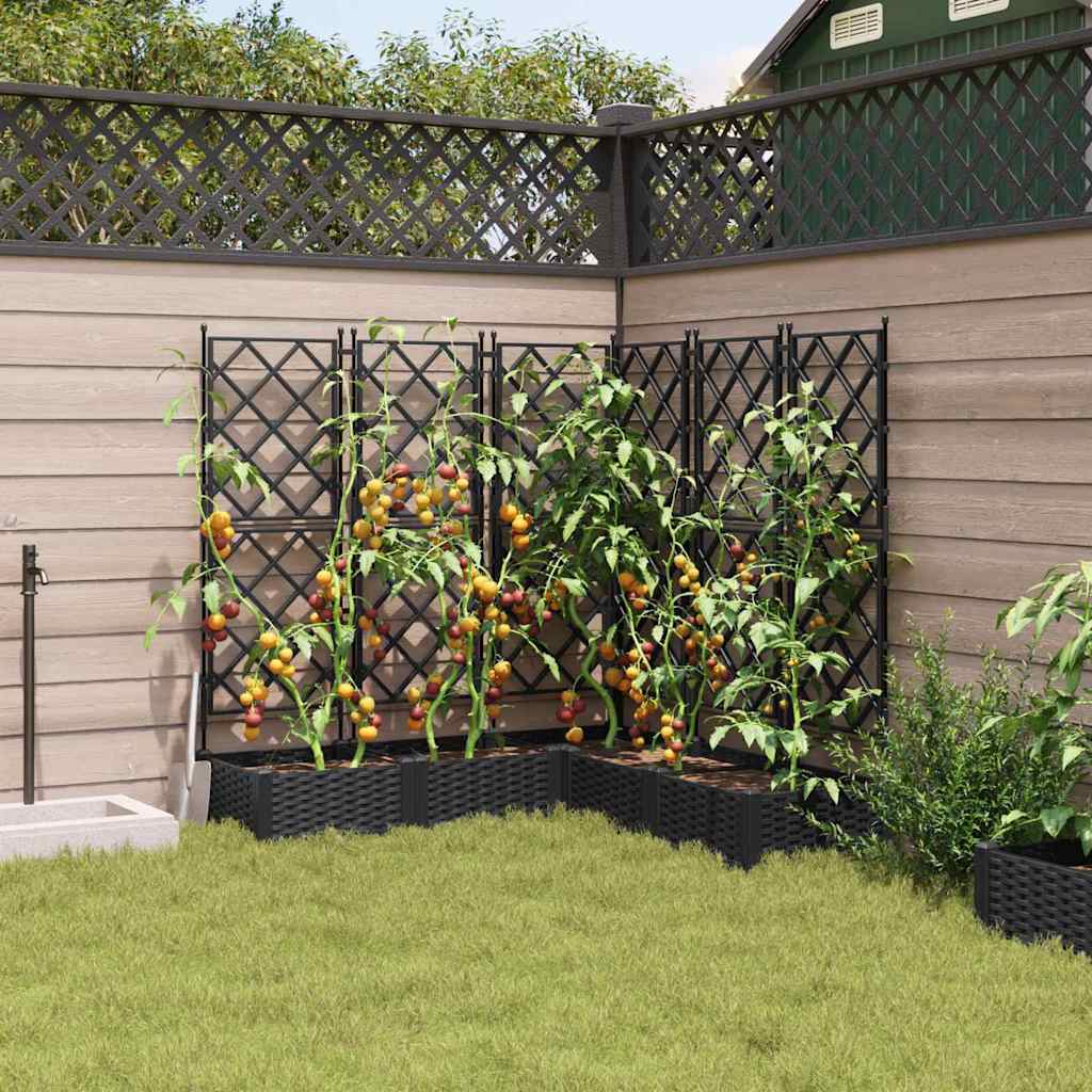 Vaso da Giardino con Trellis 5 pcs Nero 120 x 120 x 125.5 cm PP