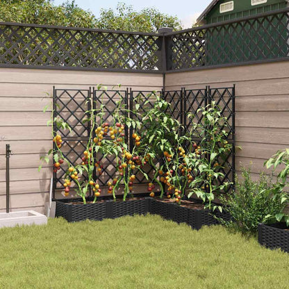 Vaso da Giardino con Trellis 5 pcs Nero 120 x 120 x 125.5 cm PP