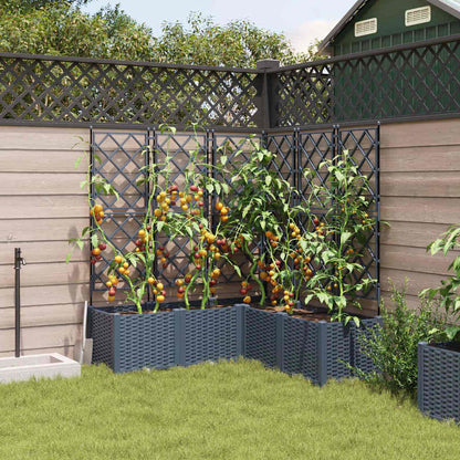 Vaso da Giardino con Trellis 5 pcs Grigio 120 x 120 x 143 cm PP