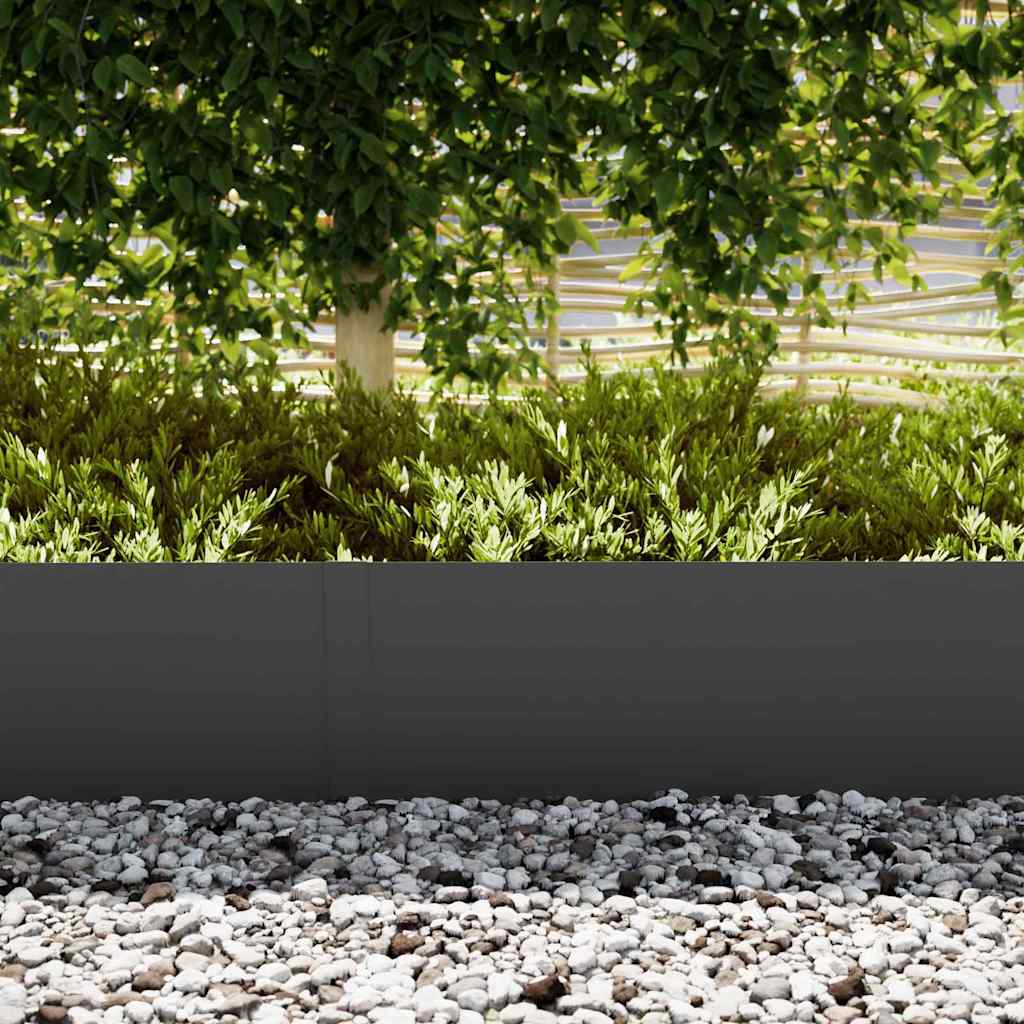 Bordure per prato 30 pcs Nero 100 x 0.5 x 30 cm Acciaio