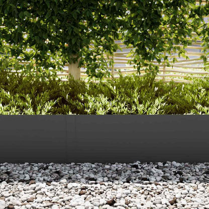 Bordure per prato 30 pcs Nero 100 x 0.5 x 30 cm Acciaio