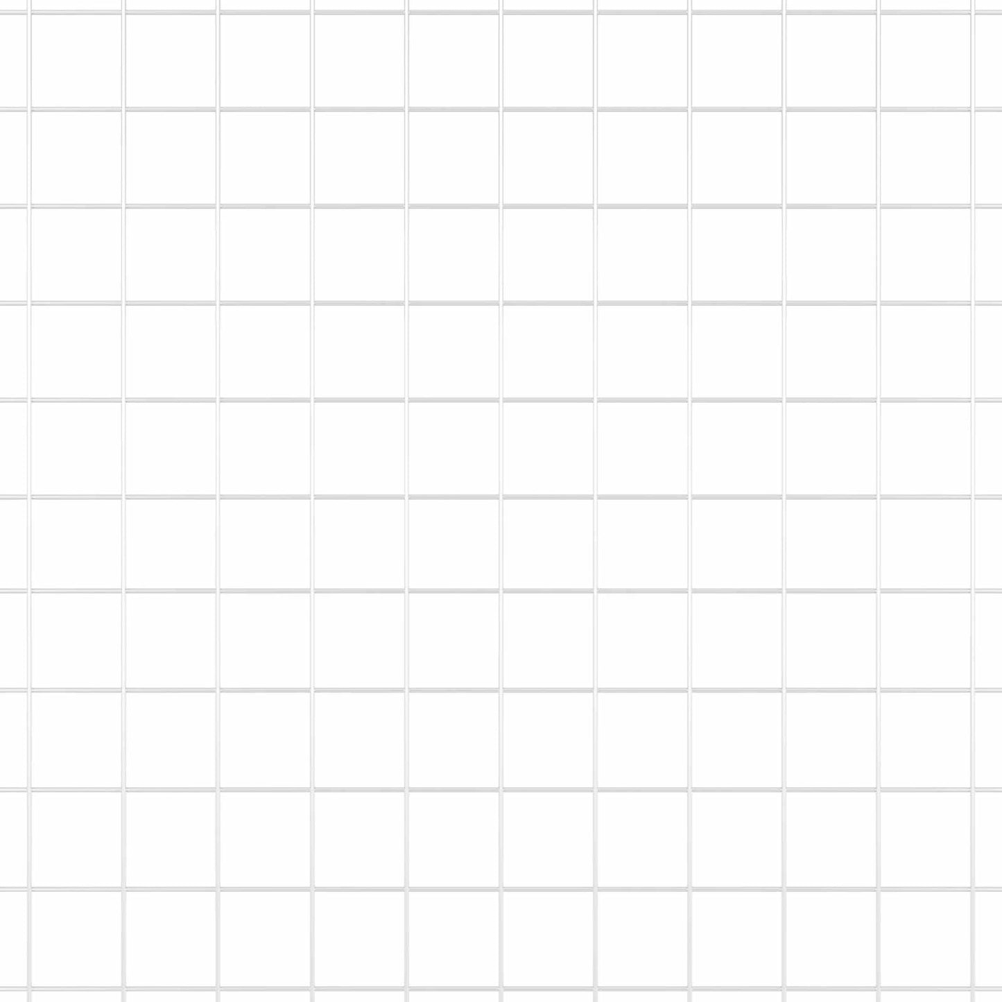 Recinzione in Rete Saldato Argento 1.5 x 50 m