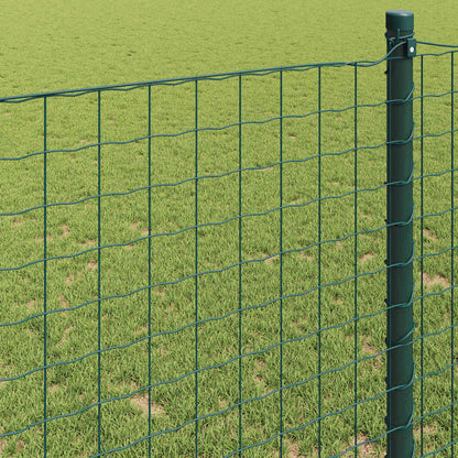 Recinzione Euro Verde 1 x 25 m Ferro rivestito in PVC | homemem39