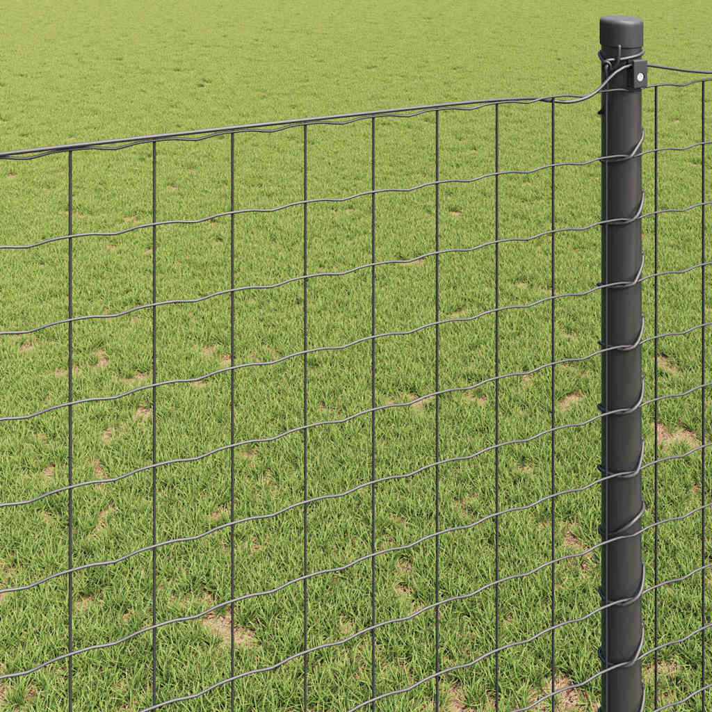 Recinzione Euro Grigio 1,6 x 10 m Ferro rivestito in PVC | homemem39