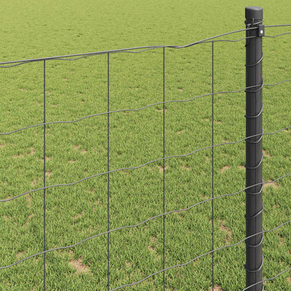 Recinzione Euro Grigio 1,6 x 10 m Ferro rivestito in PVC | homemem39