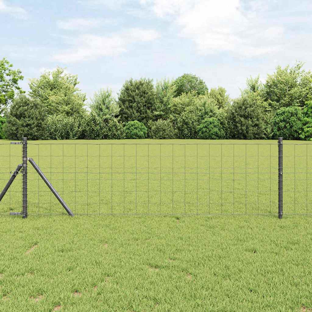 Recinzione Euro Grigio 0,6 x 25 m Ferro rivestito in PVC | homemem39