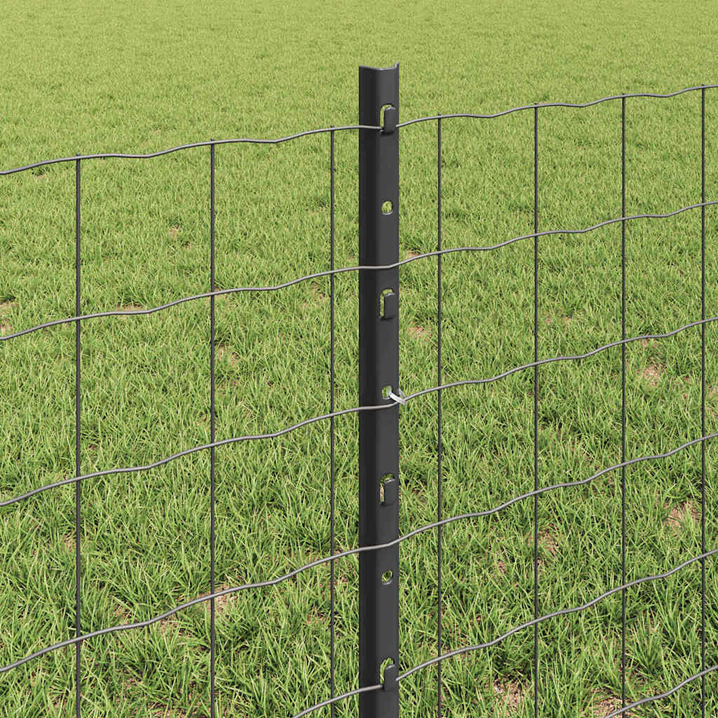 Recinzione con Posto Grigio | homemem39