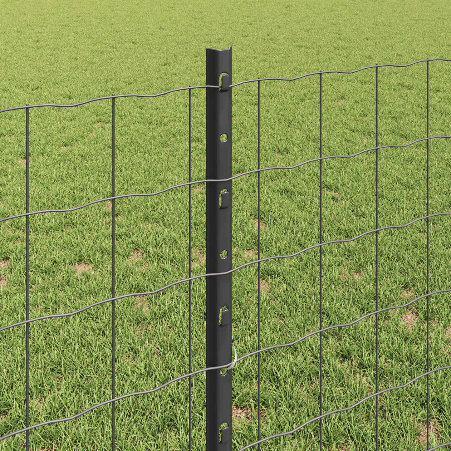 Recinzione in Rete Saldato 10 x 0,8 m (L x H)