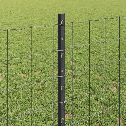 Recinzione in Rete Saldato 10 x 0,8 m (L x H)