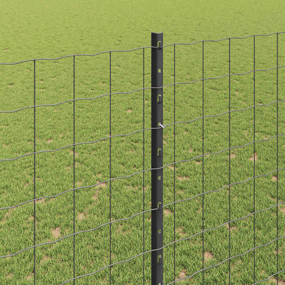Recinzione con Posto Grigio | homemem39