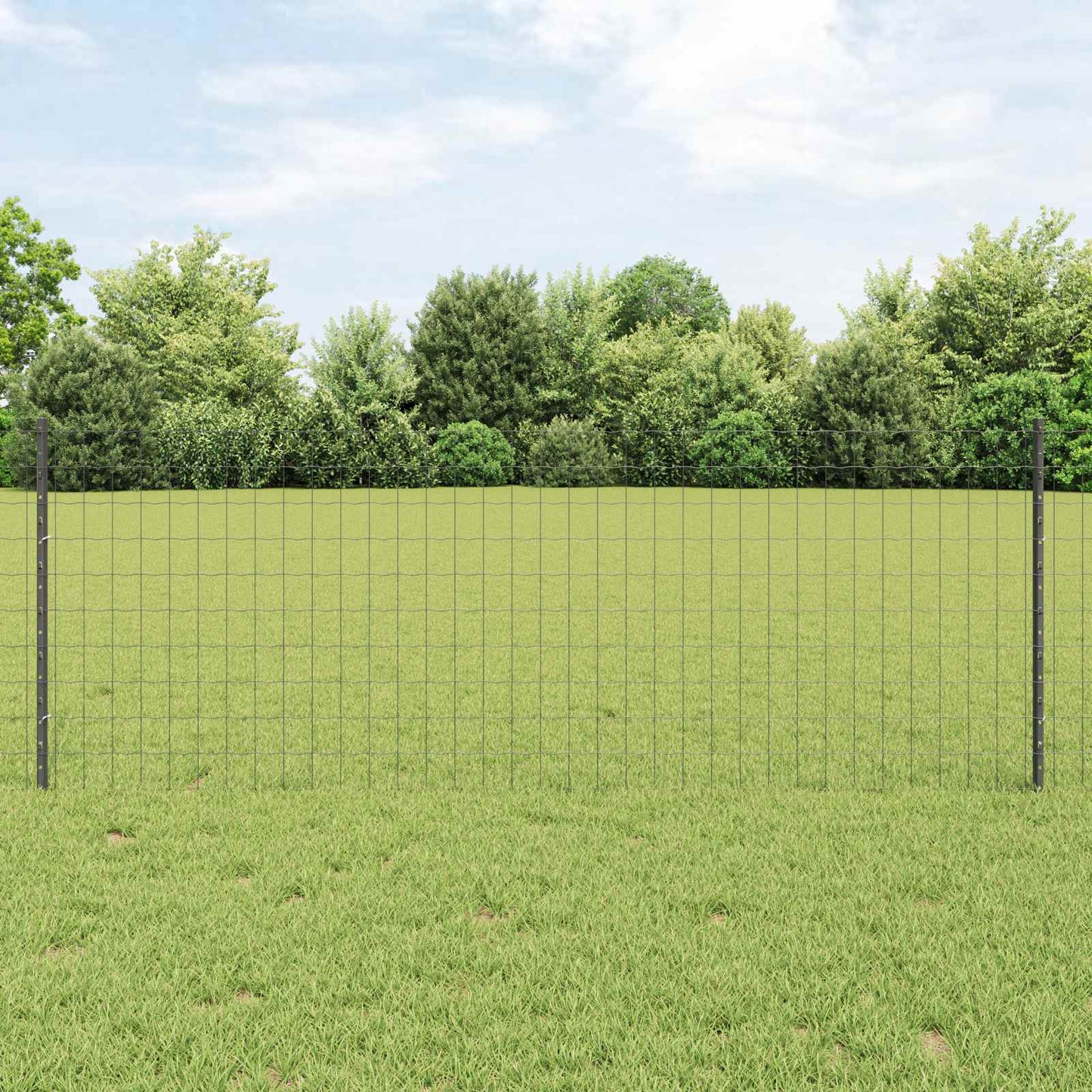 Recinzione in Rete Saldato 25 x 0,8 m (L x H)