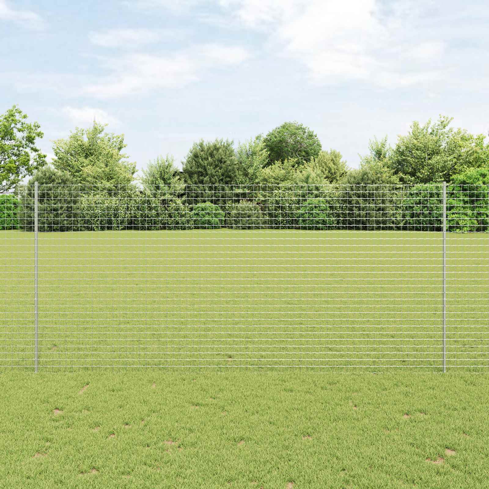 Recinzione con Posto Argento | homemem39