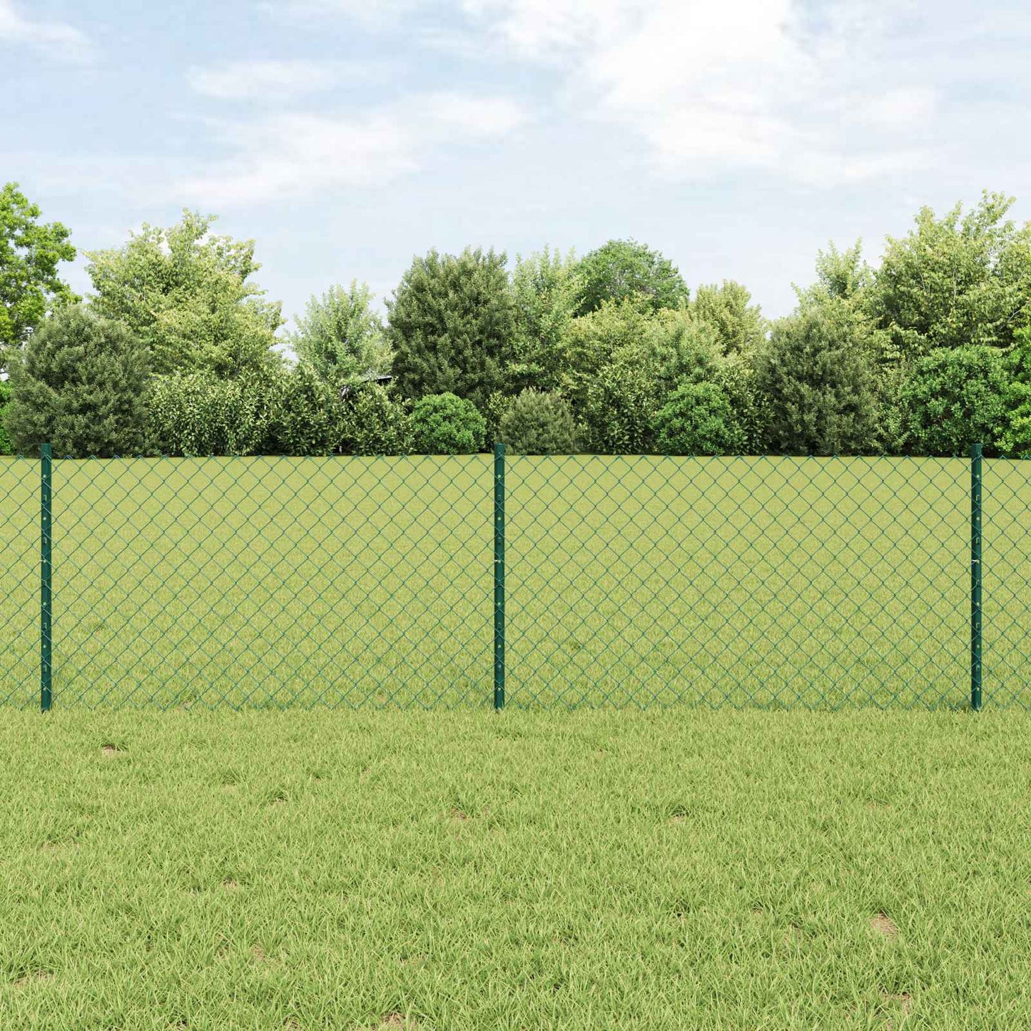 Recinzione a maglie metalliche con palo 10 x 0,6 m (L x H)
