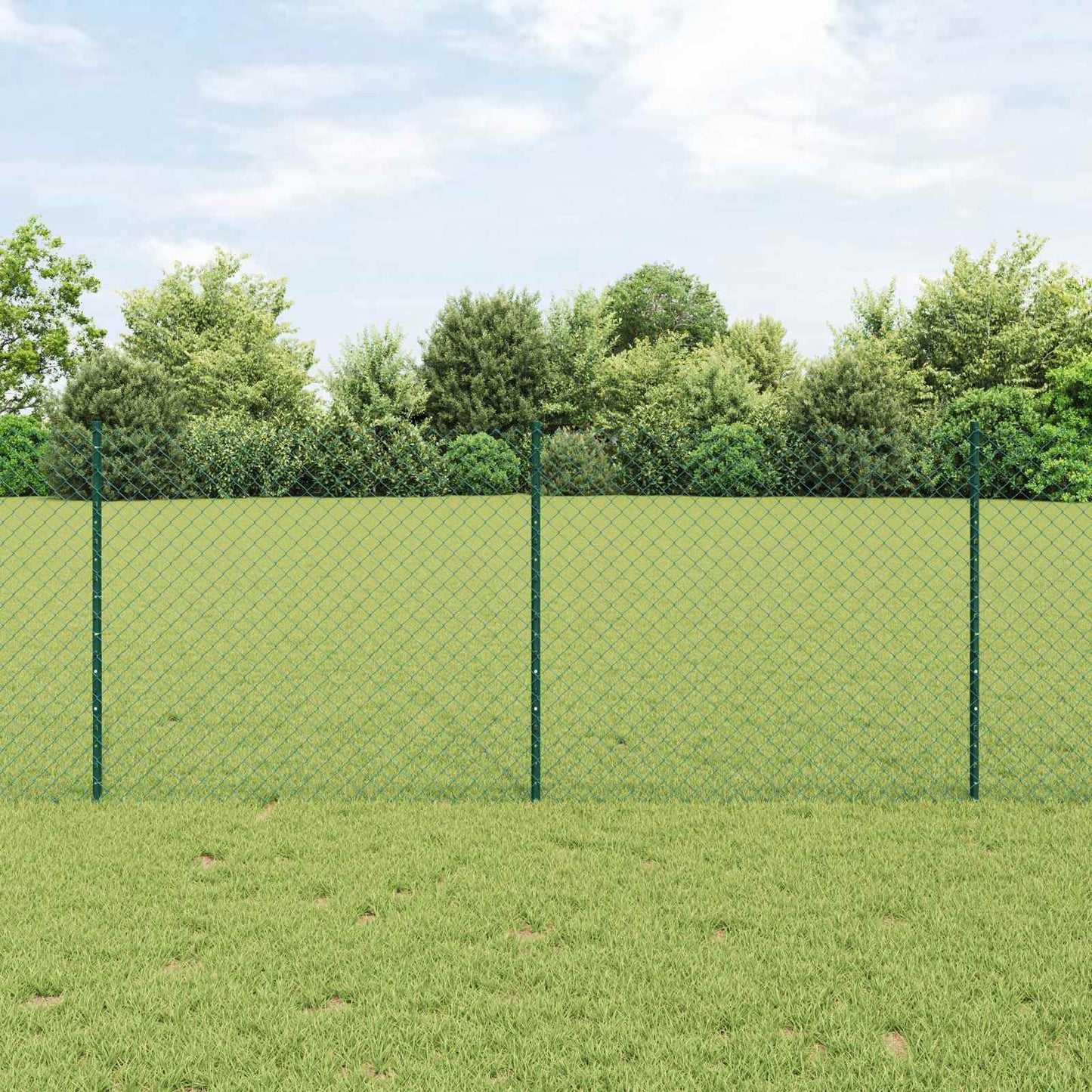 Recinzione a maglie metalliche con palo 25 x 1 m (L x H)
