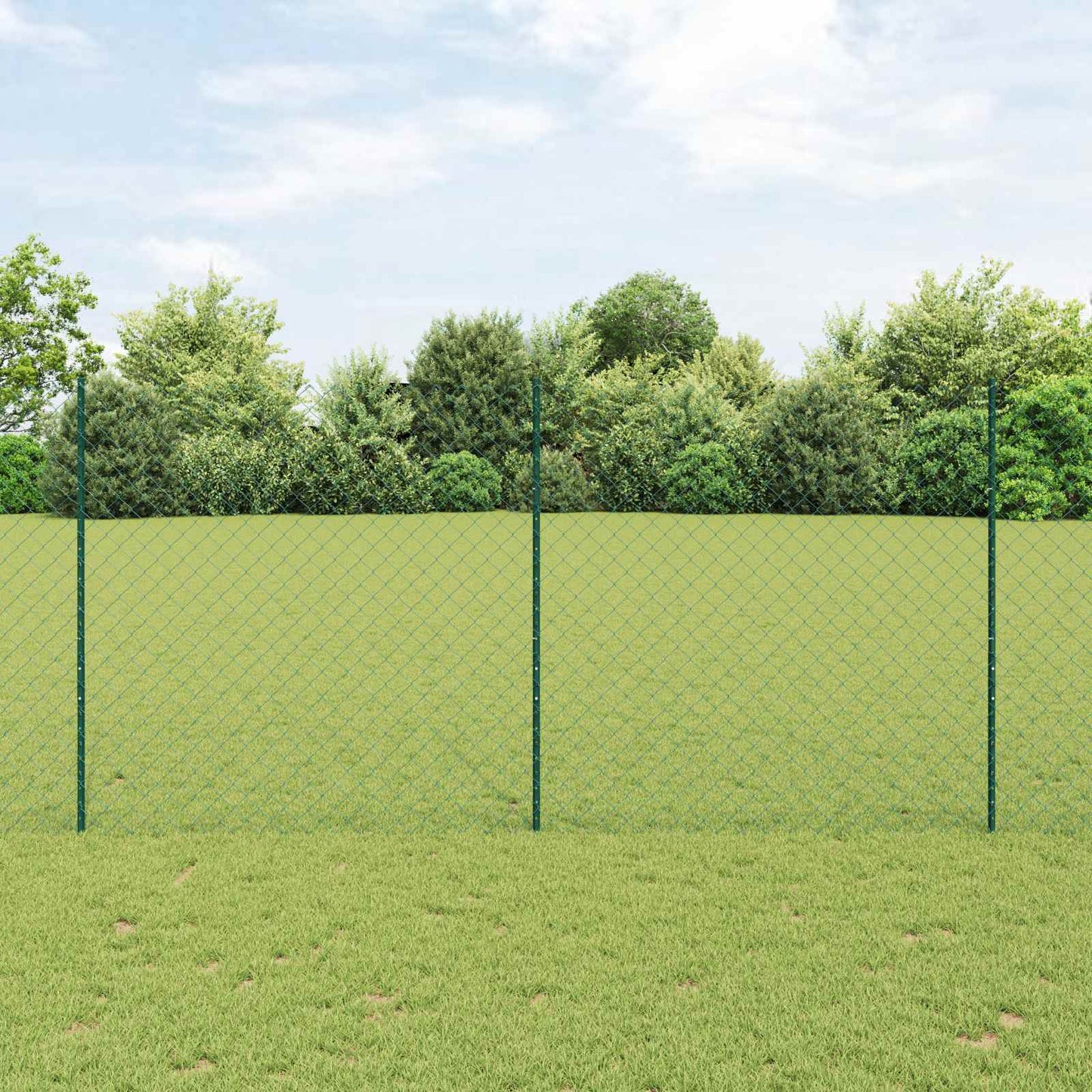 Recinzione a maglie metalliche con palo 25 x 1,6 m (L x H)