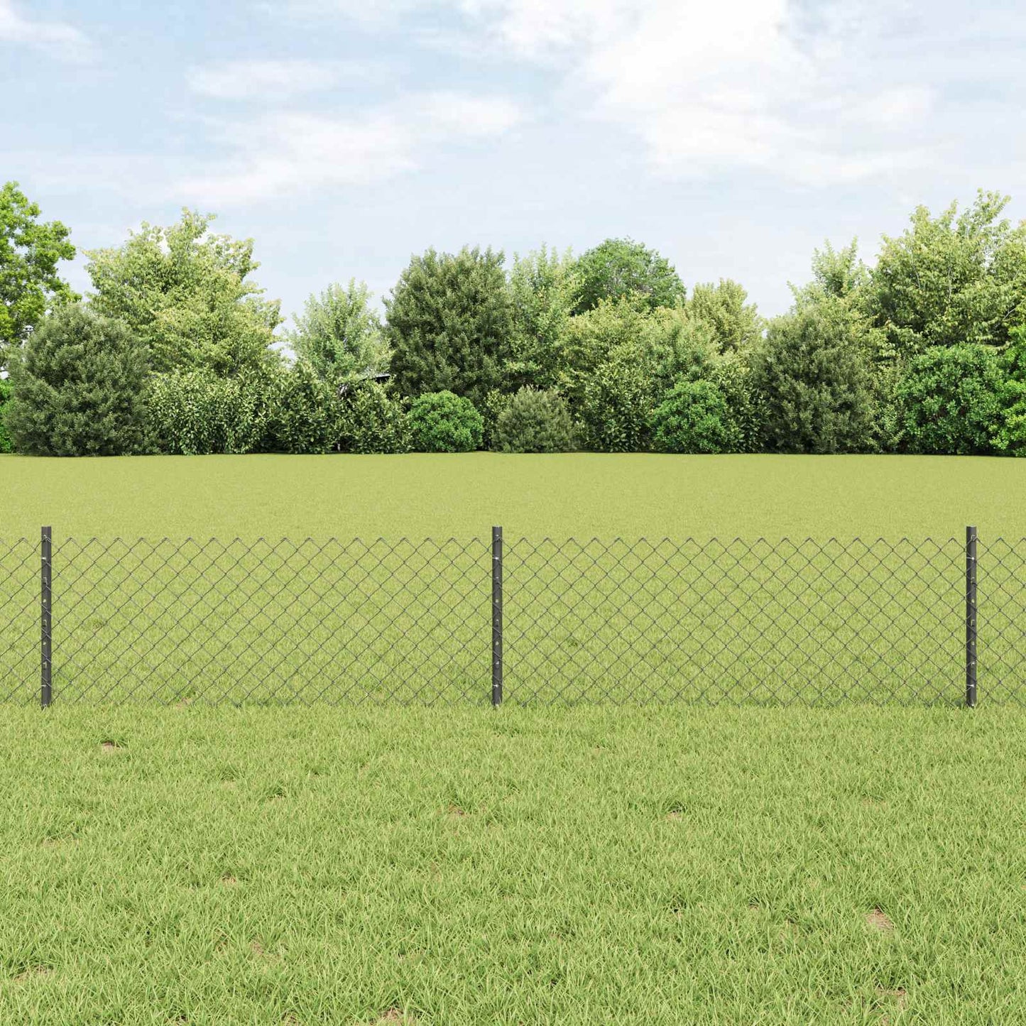 Recinzione a maglie metalliche con palo 10 x 0,4 m (P x H)