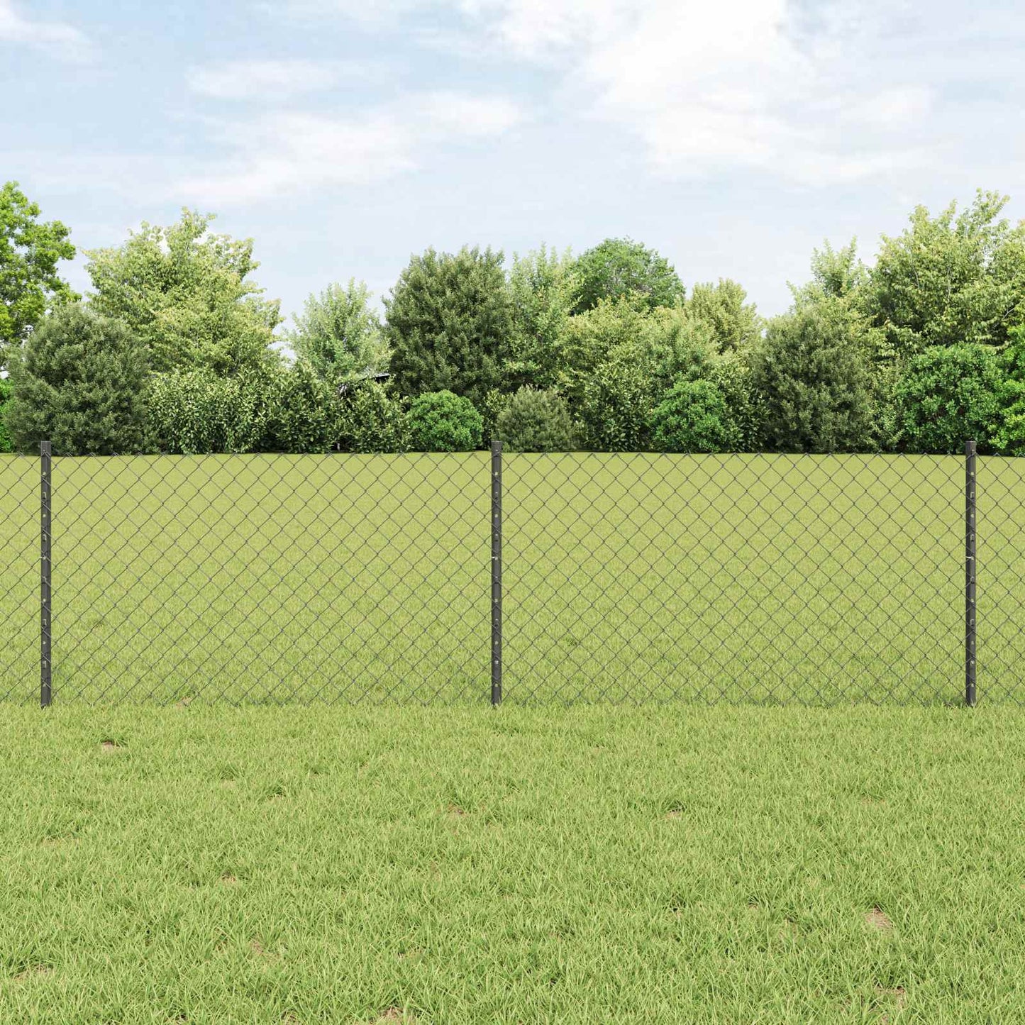 Recinzione a maglie metalliche con palo 10 x 0,6 m (L x H)