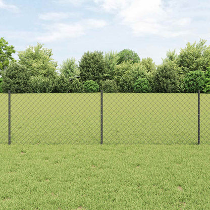 Recinzione a maglie metalliche con palo 10 x 0,6 m (L x H)