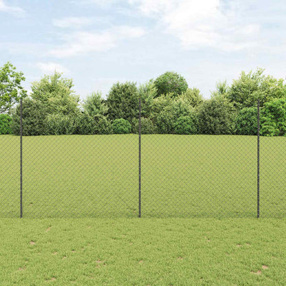 Recinzione a maglie metalliche con palo 10 x 1,6 m (L x A)