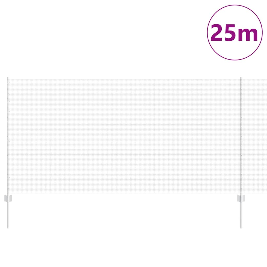 Recinzione con Posto Argento | homemem39