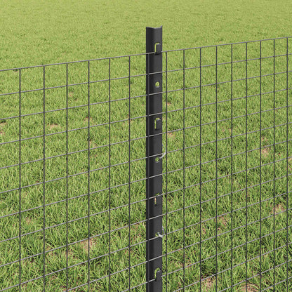 Recinzione con Posto Grigio | homemem39