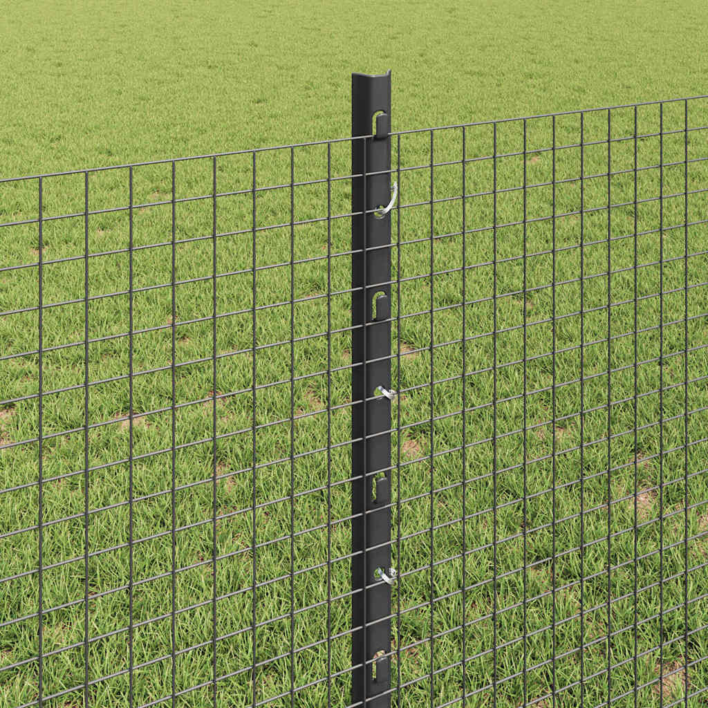 Recinzione con Posto Grigio | homemem39