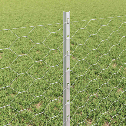 Recinzione con pali. Argento 0.6 x 10 m Acciaio