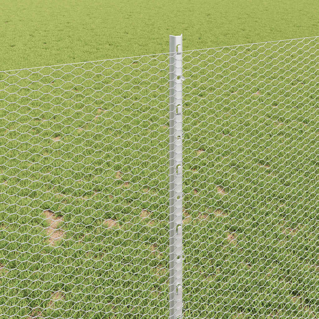 Recinzione con Posto Argento 1 x 10 m Acciaio