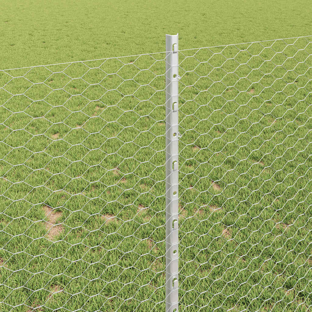 Recinzione con Posto Argento 1 x 10 m Acciaio