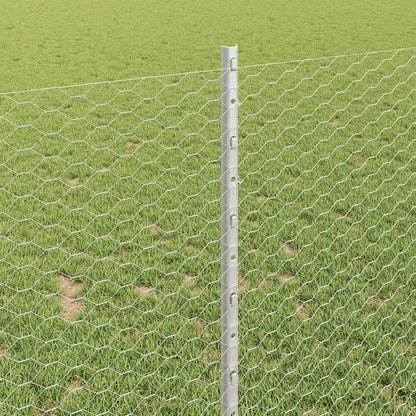 Recinzione con Posto Argento 1 x 10 m Acciaio