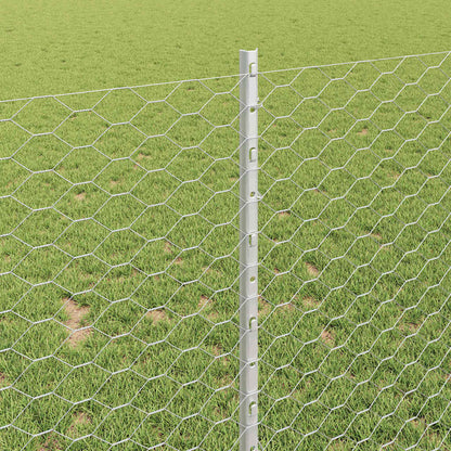 Recinzione con Posto Argento 1 x 10 m Acciaio