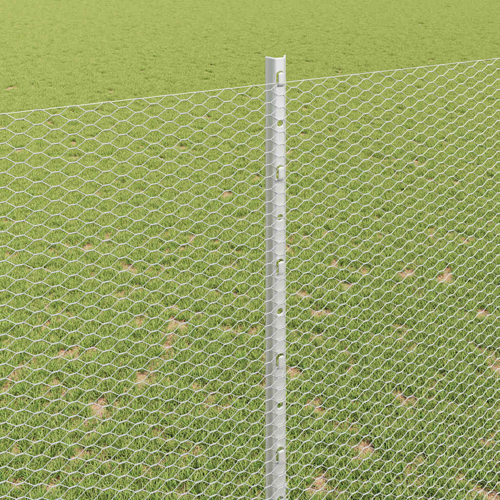 Recinzione con Posto Argento 1,6 x 10 m Acciaio