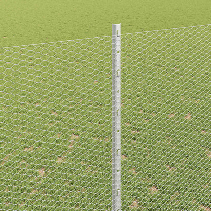 Recinzione con Posto Argento 1,6 x 10 m Acciaio