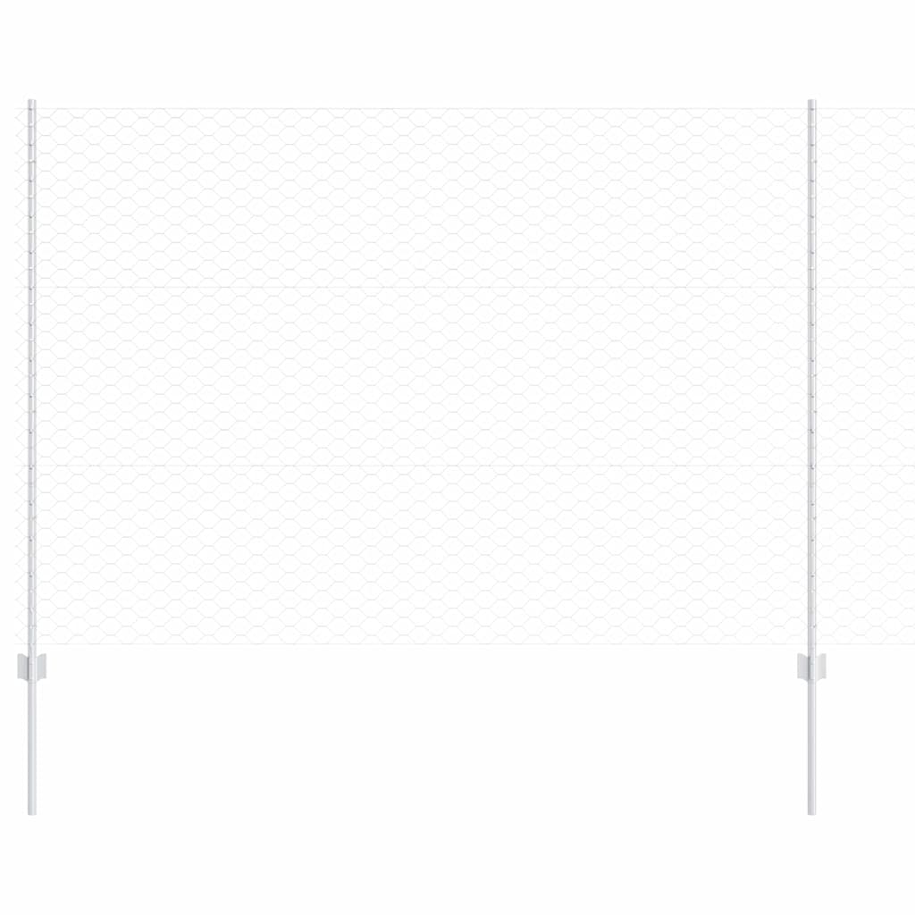 Recinzione con Posto Argento | homemem39