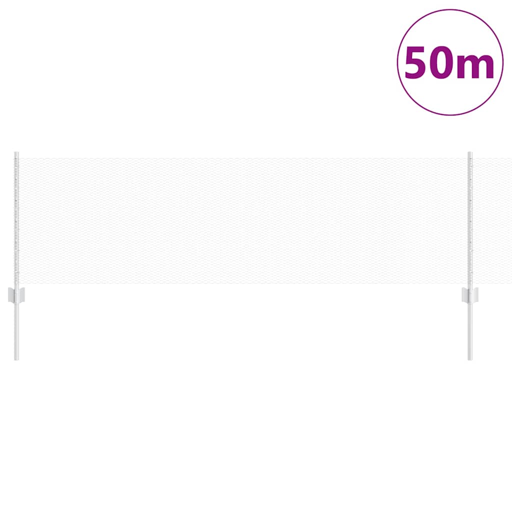 Recinzione con Posto Argento 0,6 x 50 m Acciaio