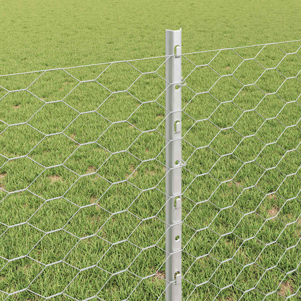 Recinzione con Posto Argento 0,8 x 50 m Acciaio