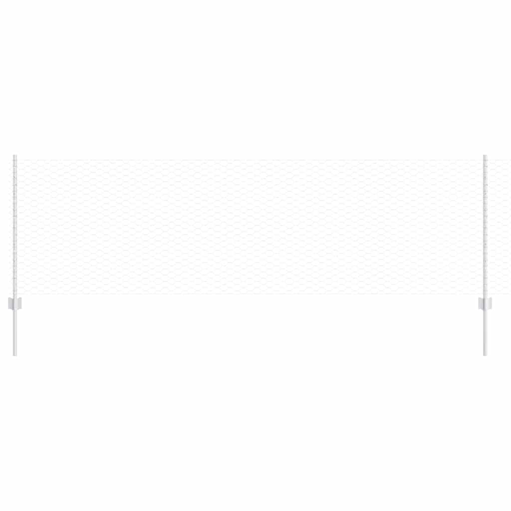 Recinzione con Posto Argento 0,8 x 50 m Acciaio