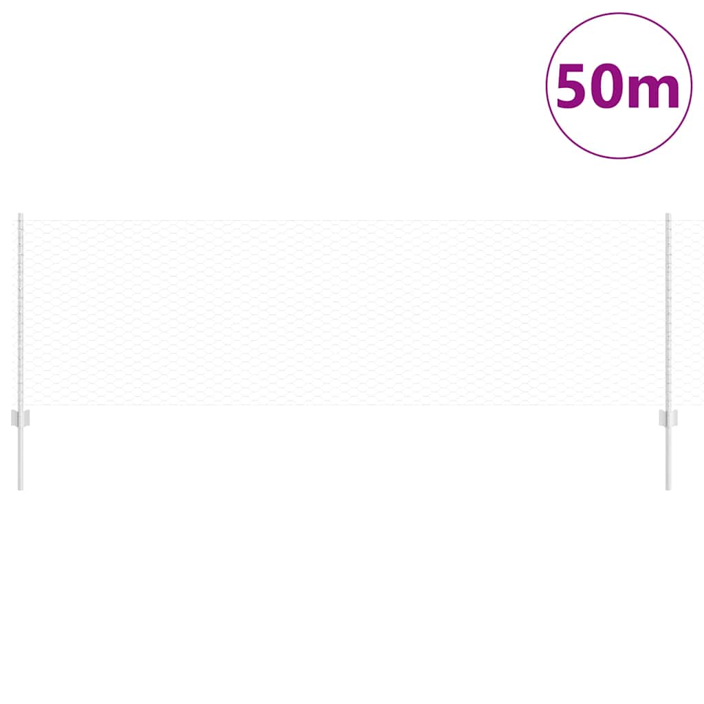 Recinzione con Posto Argento 0,8 x 50 m Acciaio